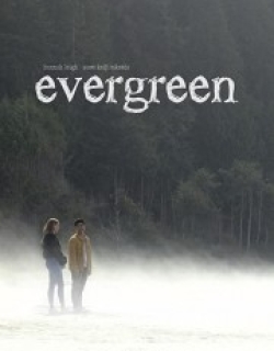 Evergreen