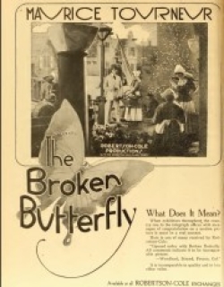 The Broken Butterfly