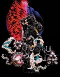 Apple Music Live: Björk