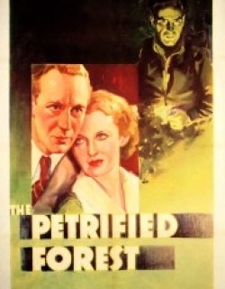 The Petrified Forest