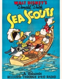Sea Scouts