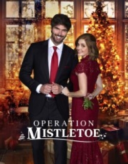 Operation Mistletoe