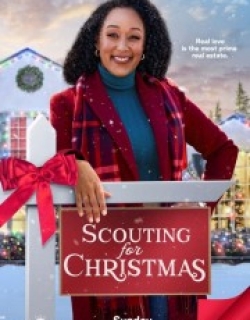 Scouting for Christmas