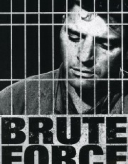 Brute Force