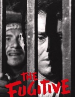 The Fugitive