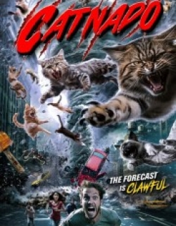 Catnado