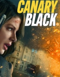 Canary Black