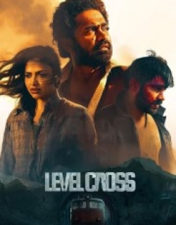 Level Cross