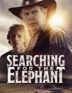Searching for the Elephant