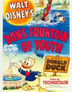 Don's Fountain of Youth