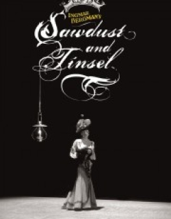 Sawdust and Tinsel