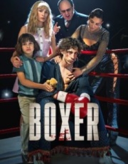 Boxer