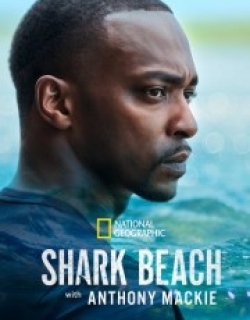Shark Beach with Anthony Mackie