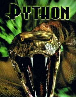 Python 2000