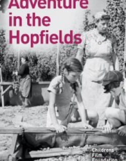 Adventure In The Hopfields