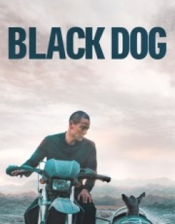 Black Dog