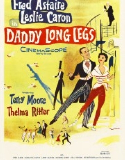 Daddy Long Legs