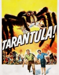 Tarantula