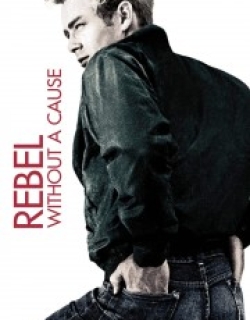 Rebel Without a Cause