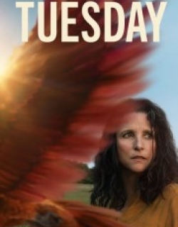 Tuesday