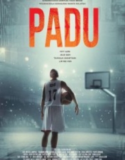 Padu