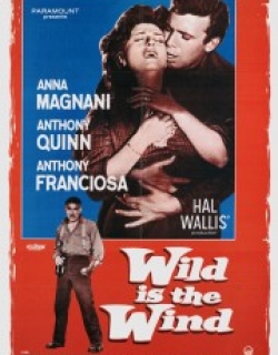 Wild Is the Wind