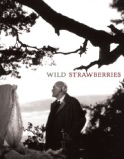 Wild Strawberries