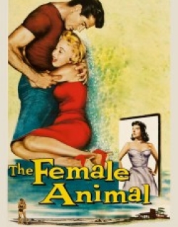 The Female Animal