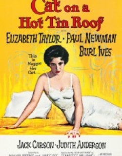 Cat on a Hot Tin Roof