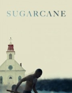 Sugarcane