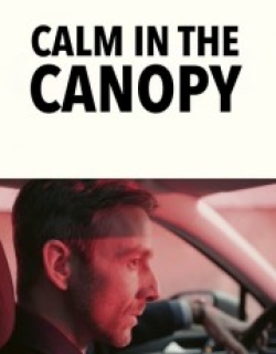 Calm in the Canopy