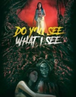 Do You See What I See