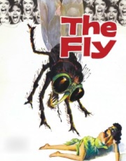 The Fly