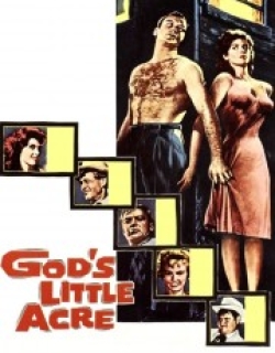 God's Little Acre
