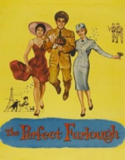 The Perfect Furlough