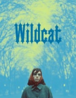 Wildcat