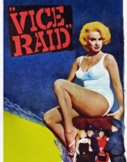 Vice Raid