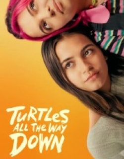 Turtles All the Way Down