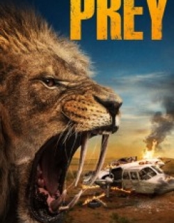 Prey