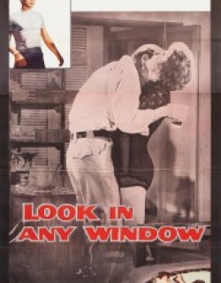 Look in Any Window