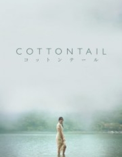 Cottontail