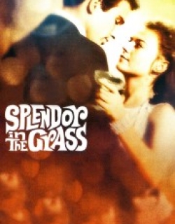 Splendor in the Grass