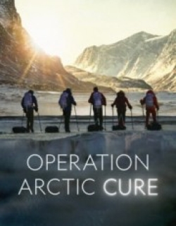 Operation Arctic Cure