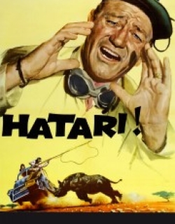 Hatari!