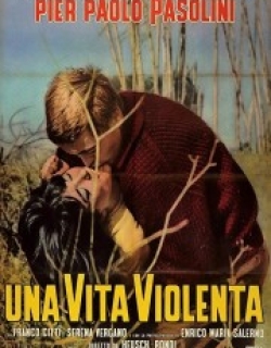 Violent Life