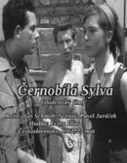 Black and White Sylva
