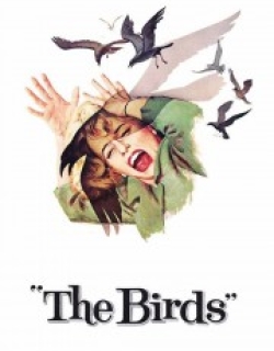The Birds