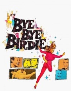 Bye Bye Birdie