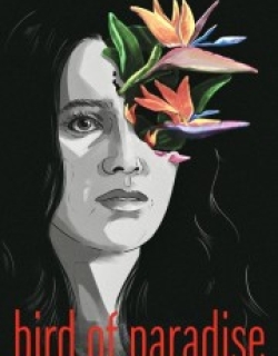 Bird of Paradise