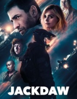 Jackdaw